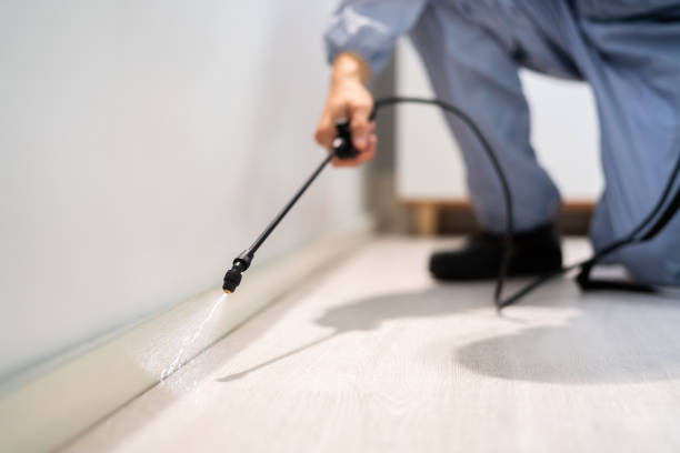 Licensed Mosquito Control service in Medical Lake, WA - Nex Pest Control