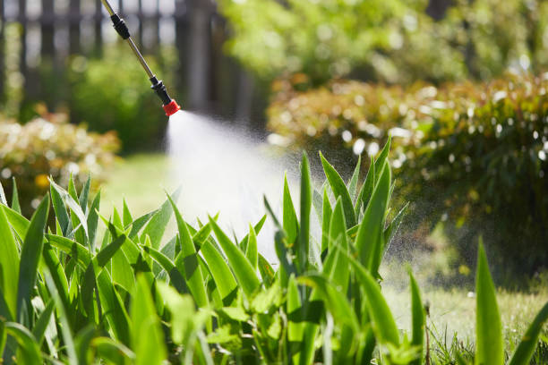 24/7 Emergency Mosquito Control experts in Medical Lake, WA