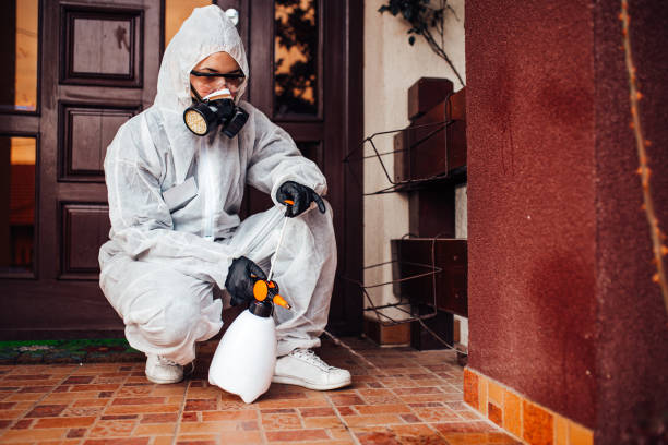 Reliable Mosquito Control contractor in Medical Lake, WA by Nex Pest Control