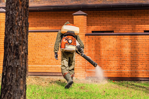 Trusted Bed Bug Control service in Medical Lake, WA - Nex Pest Control